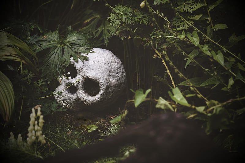 Surviving Dangers